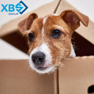 Międzynarodowy Dzień Psa